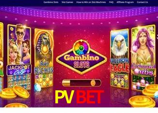 PVBET Rio de Janeiro - Bonus Terms